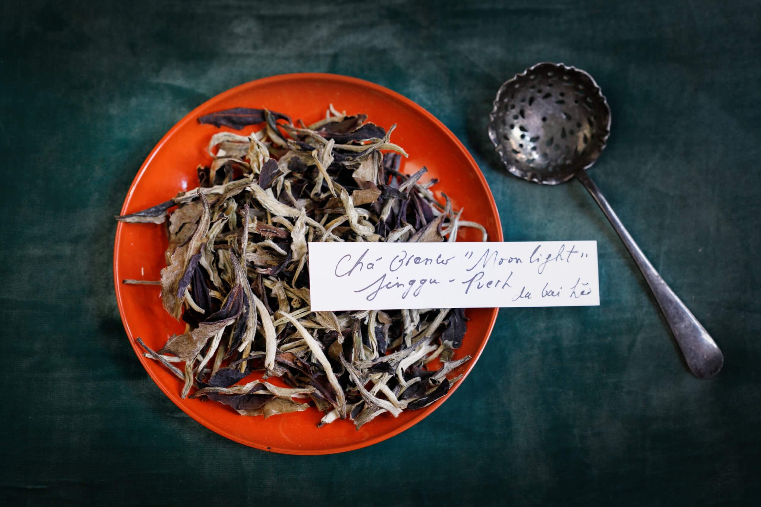 Moonlight White Tea Jinggu - Puerh