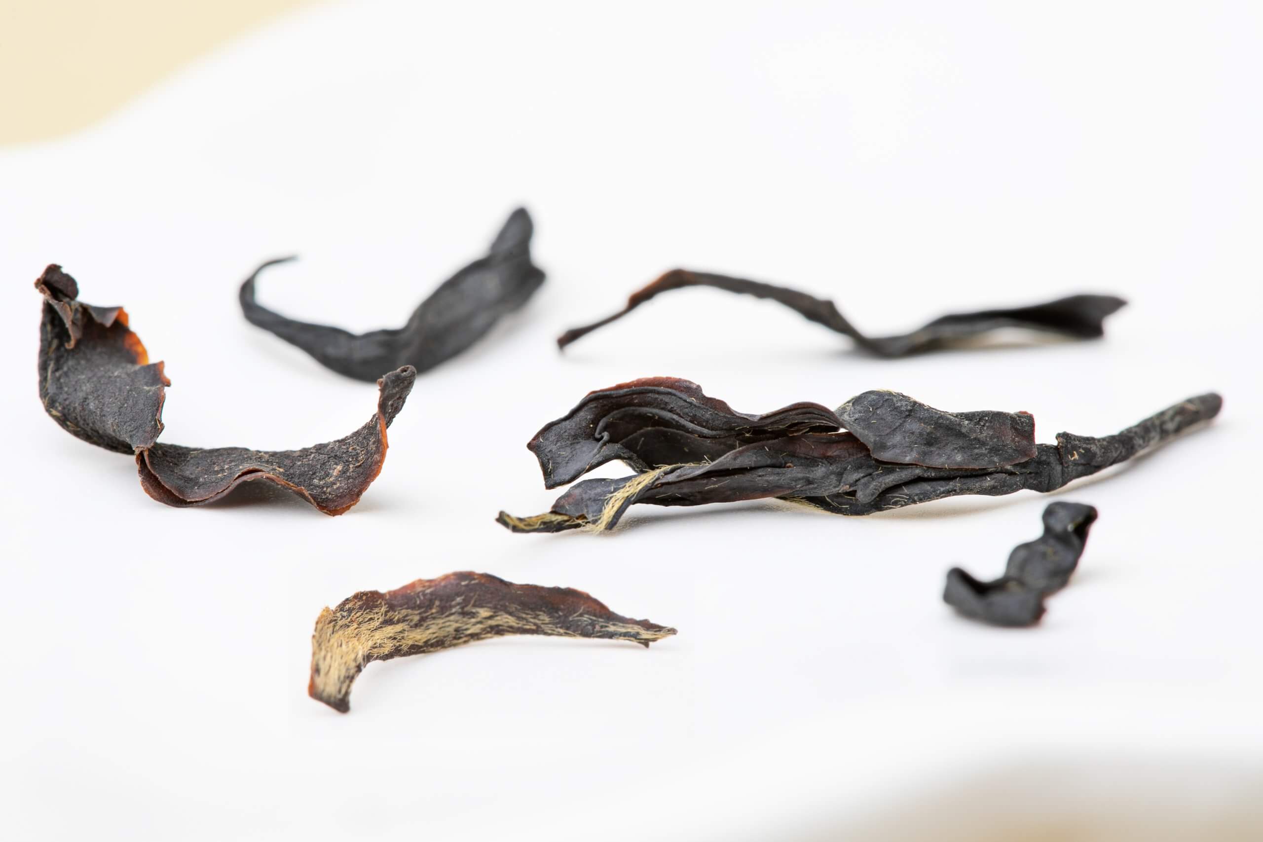 Special Gu Shu Dian Hong